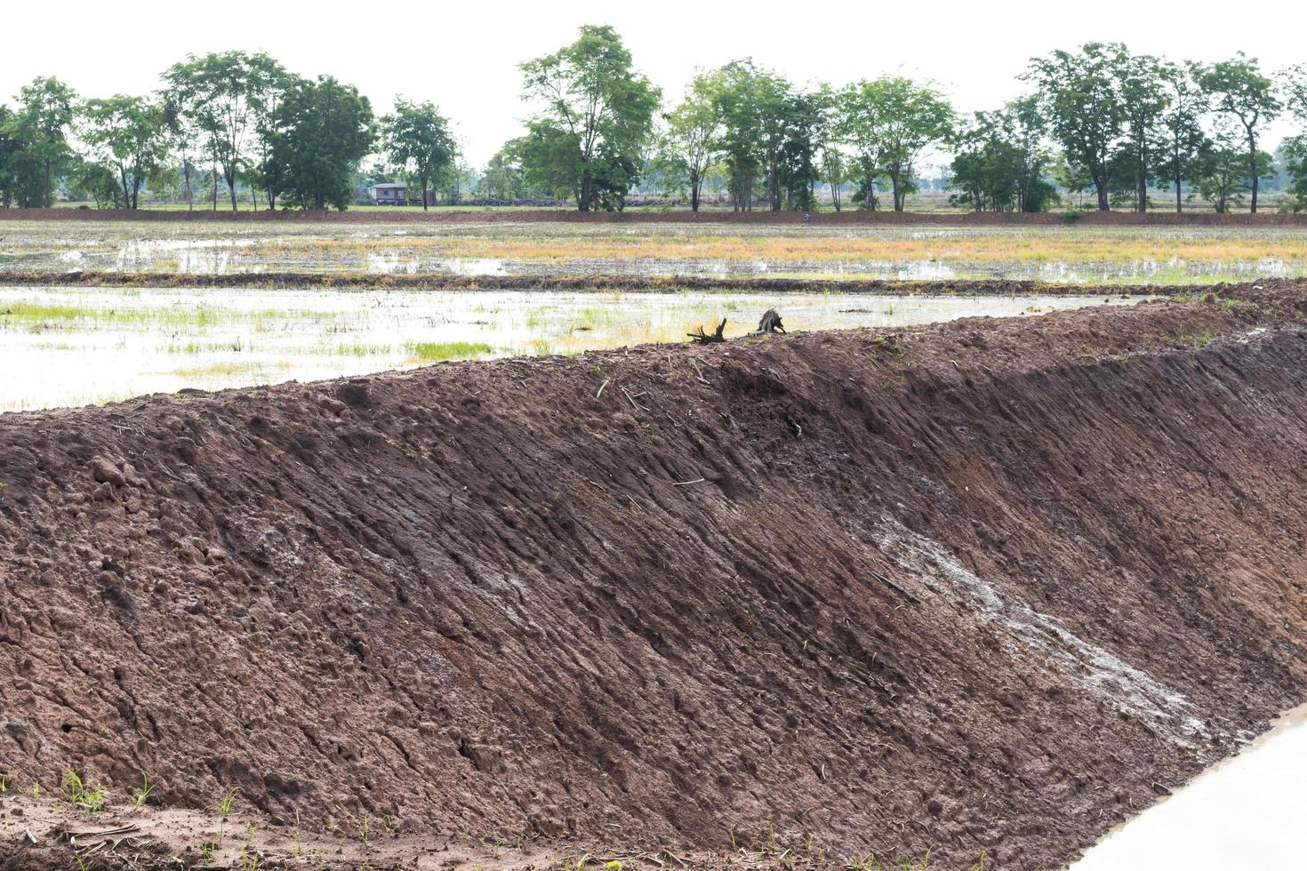 grondwaterputten in rijstvelden. foto