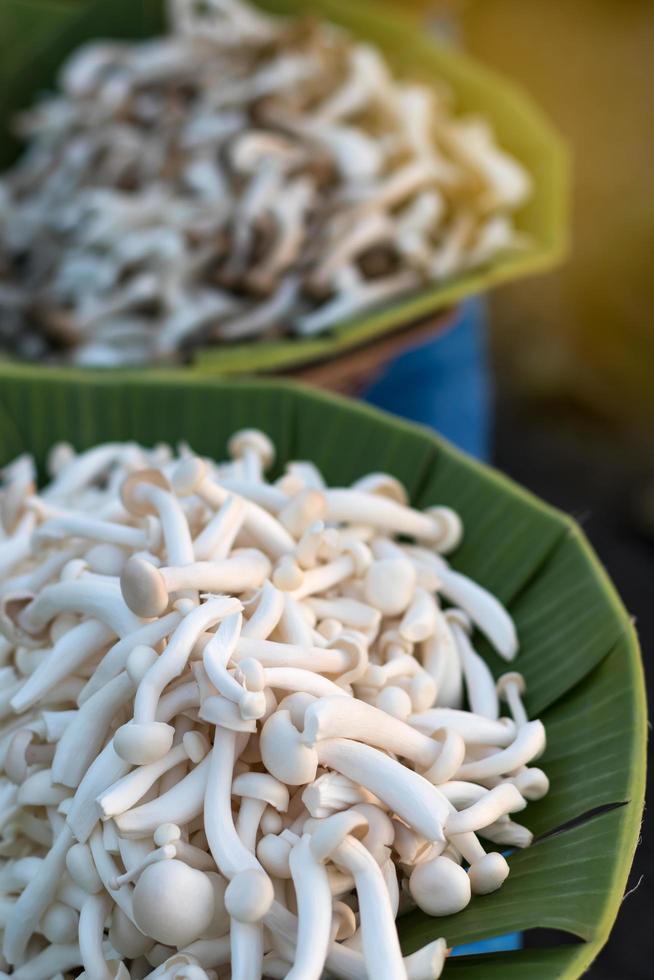 een kleine stapel witte champignons in een bananenblad. foto