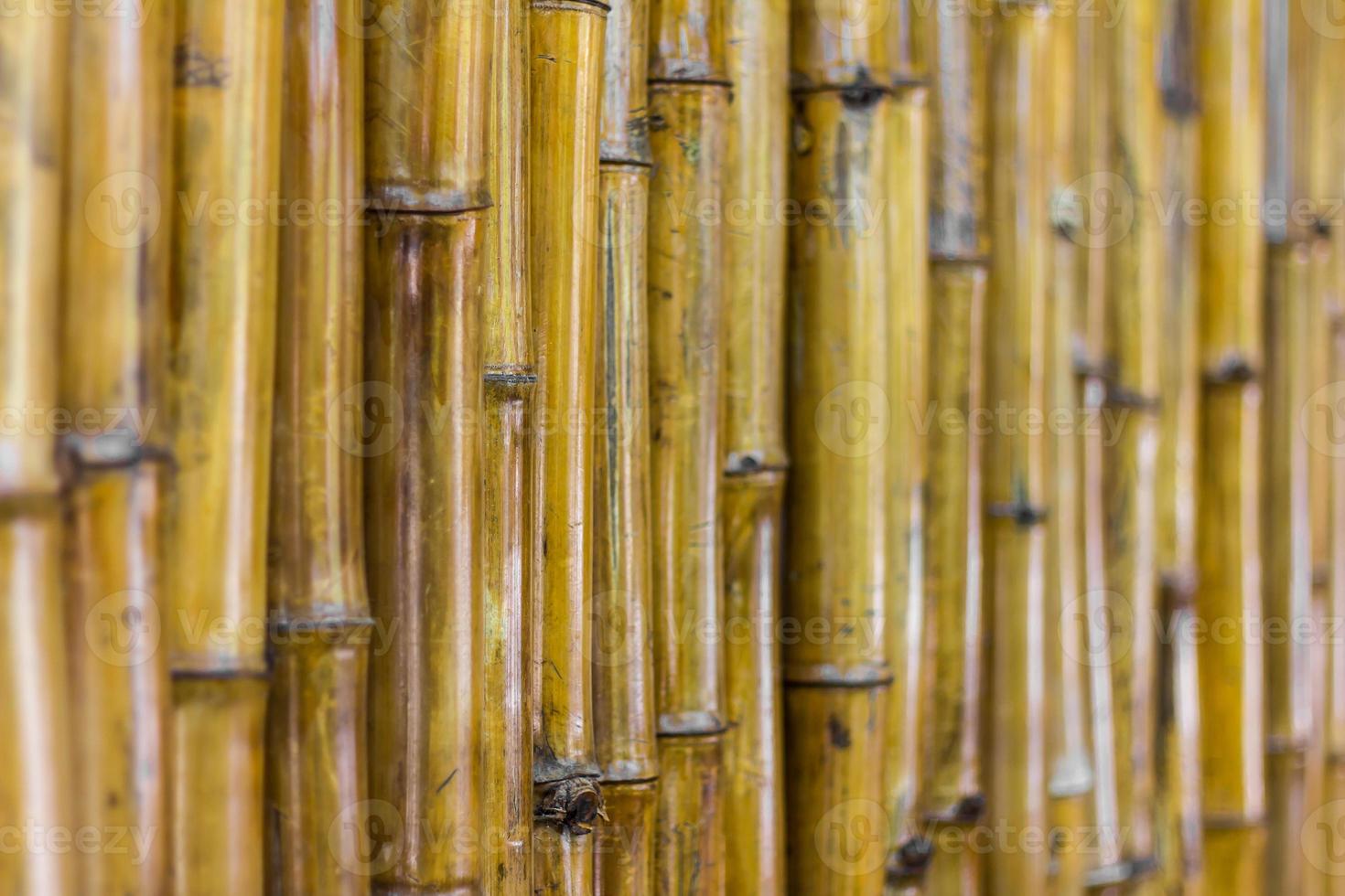 close-up bamboe muur. foto
