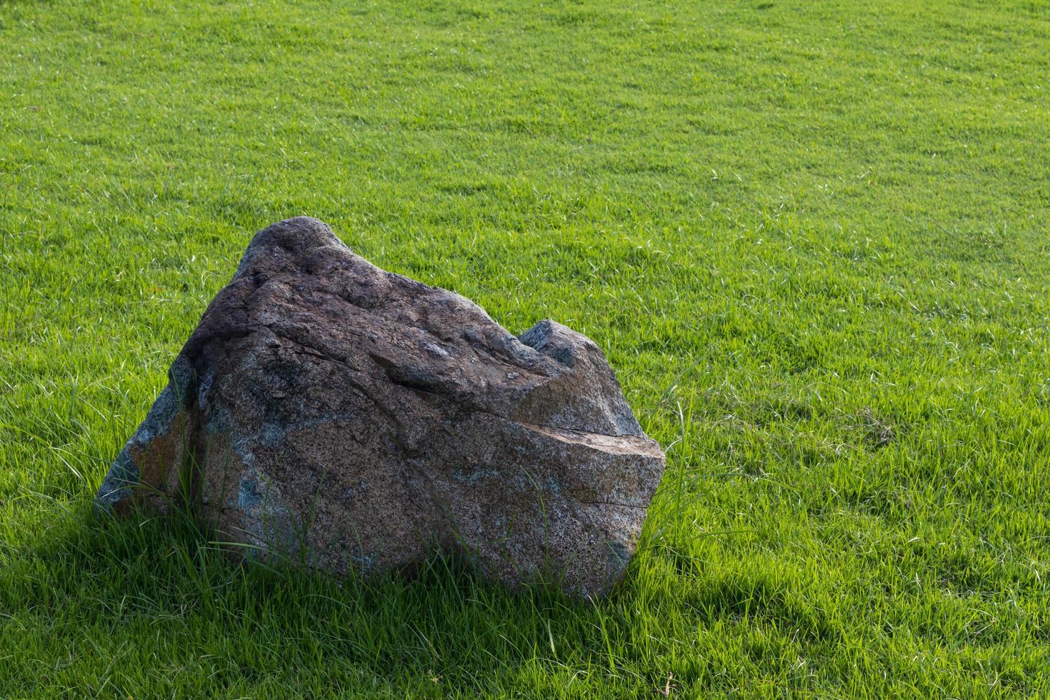 grote grijze rotsen op groen gras. foto