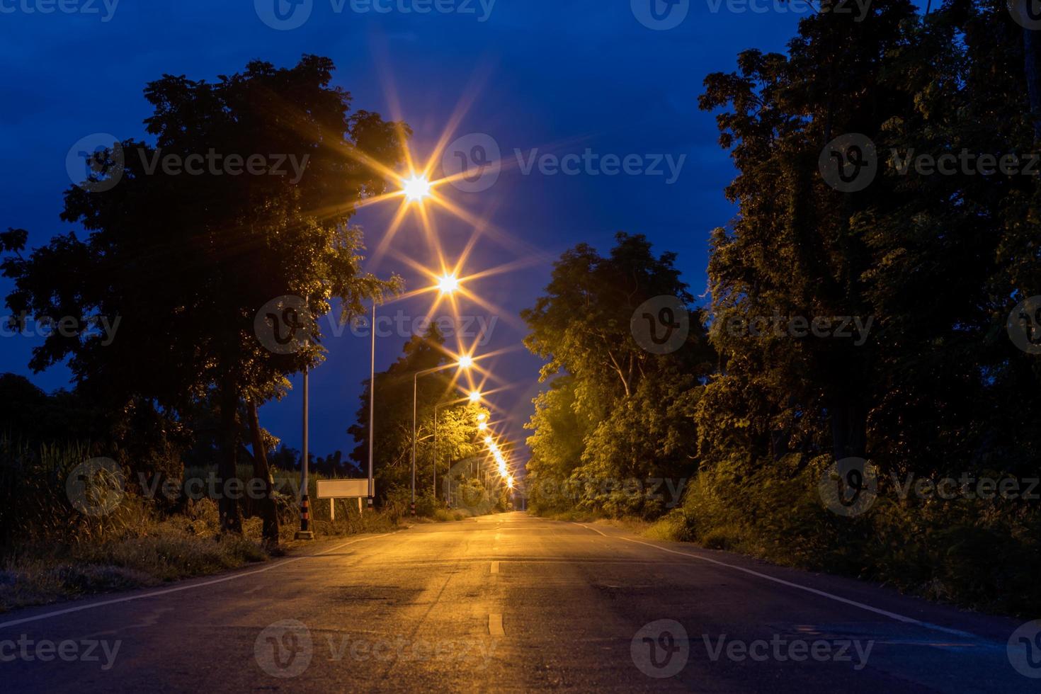 veel lichten op de weg met twilight bomen. foto