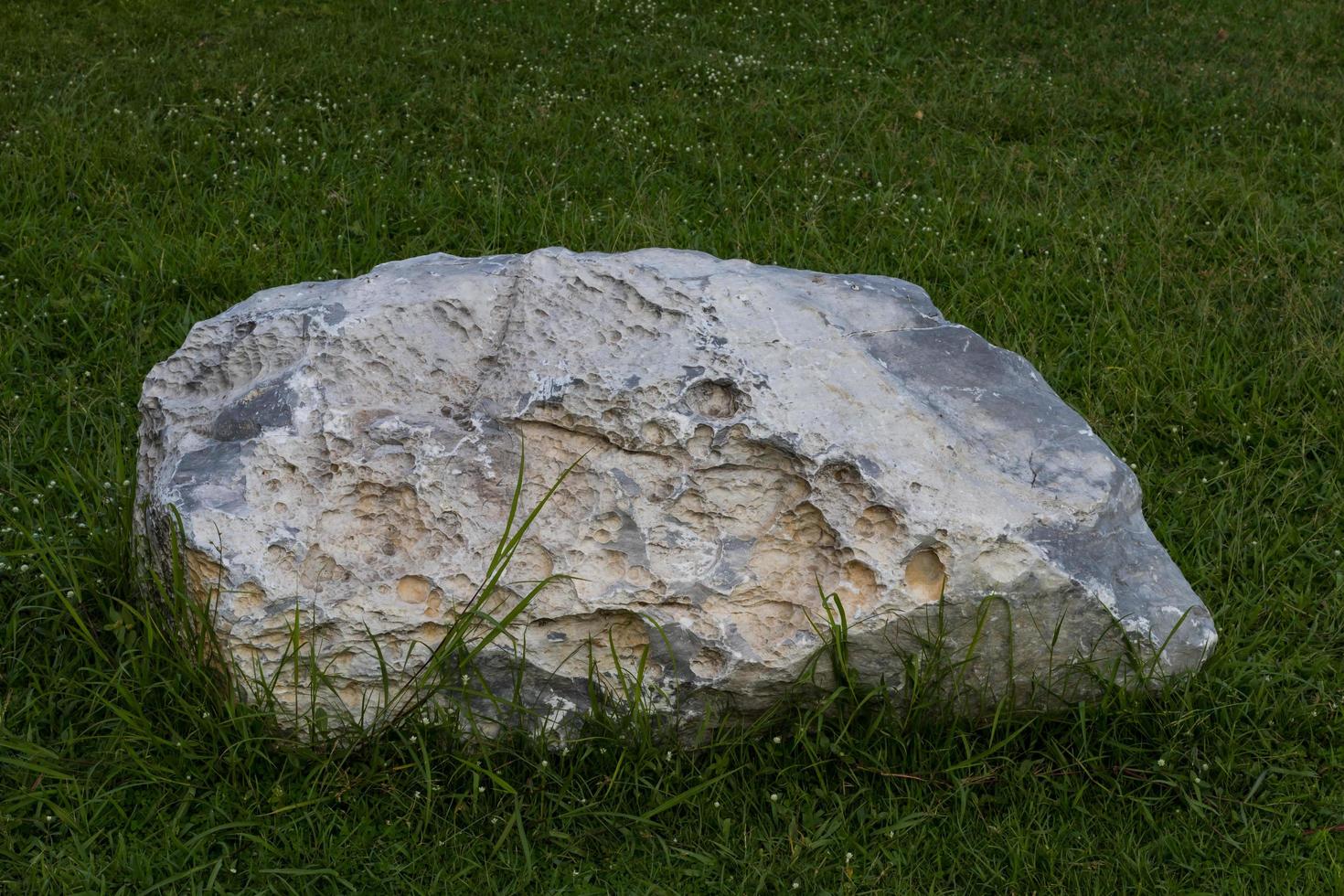 grote stenen op het gazon. foto