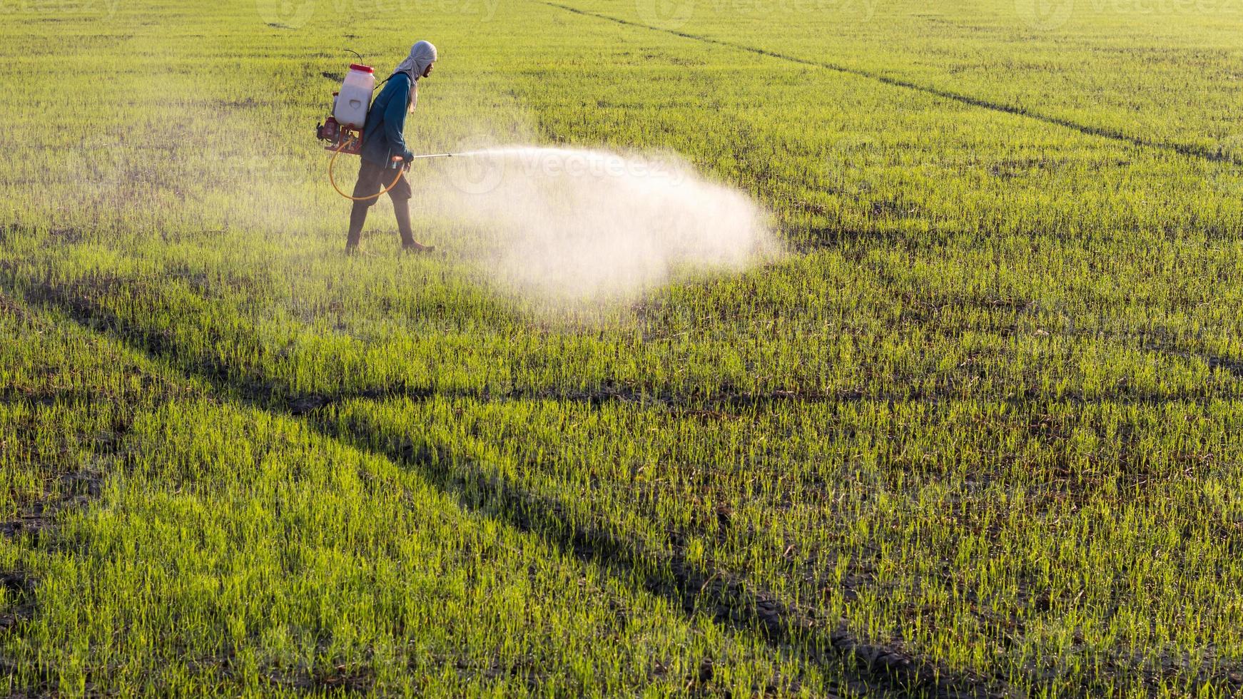 landbouwer die herbiciden sproeit. foto