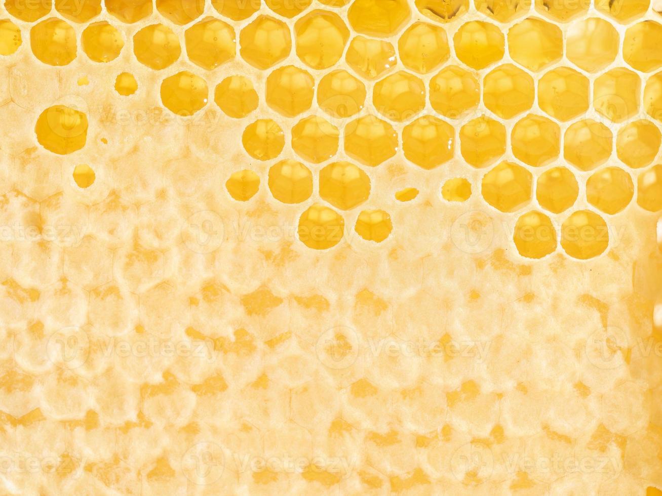 bijenhoningraatclose-up, verse vezelige druipende zoete honing, macroachtergrond foto