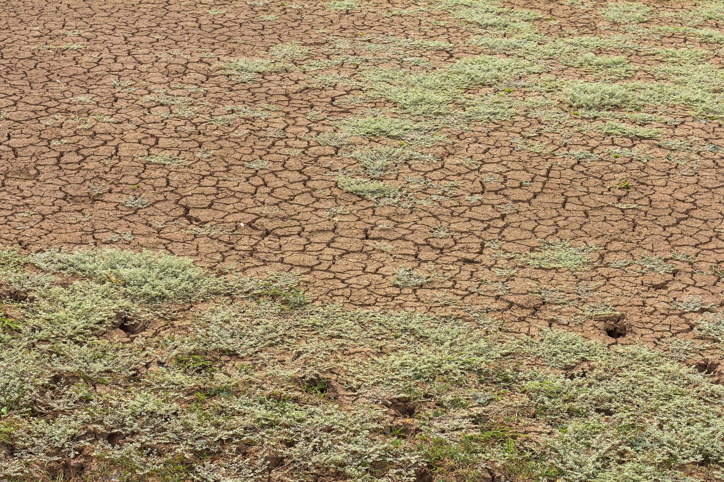 achtergrond kale grond. foto