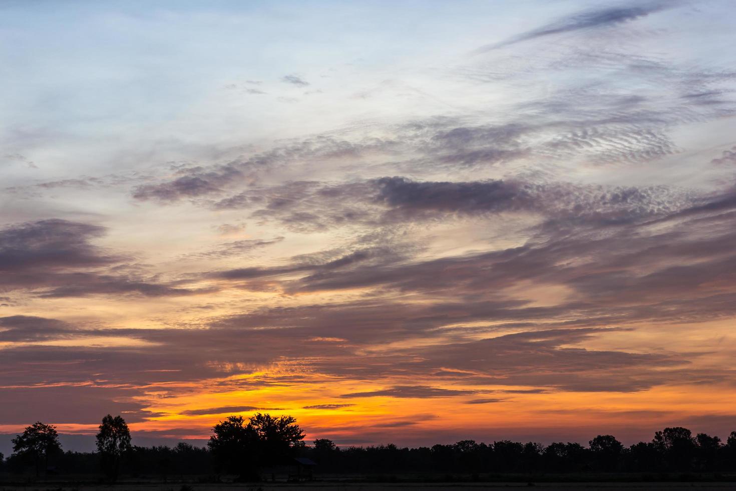 kleurrijke dageraad hemel platteland. foto