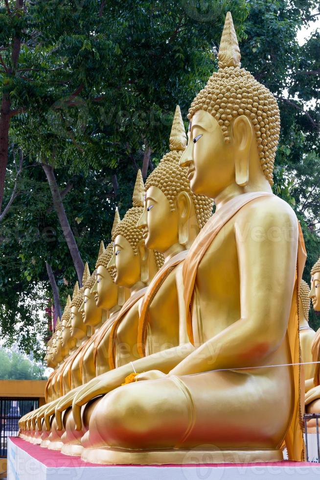 Boeddha rij in de buurt van de boom. foto