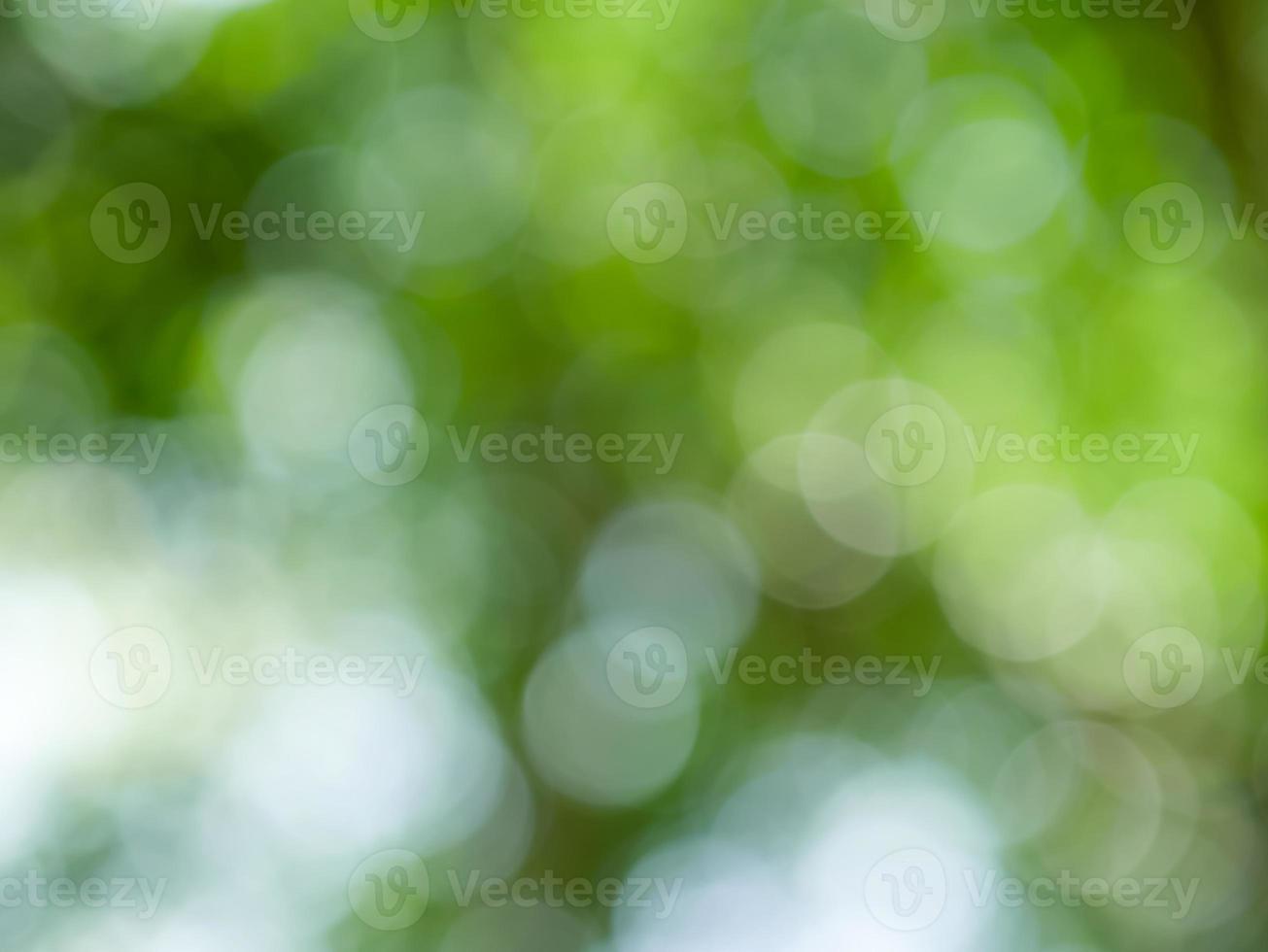 bokeh wazig onscherpe achtergrond foto