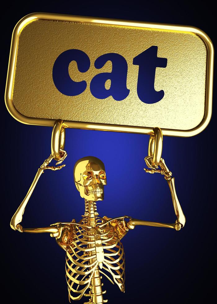 kattenwoord en gouden skelet foto