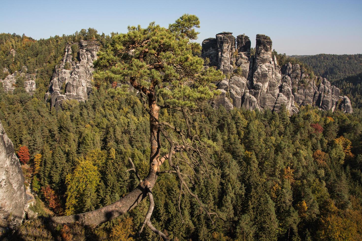 landschap in bergen in het nationale park van Tsjechisch zwitserland, dennenbos en rotsen foto