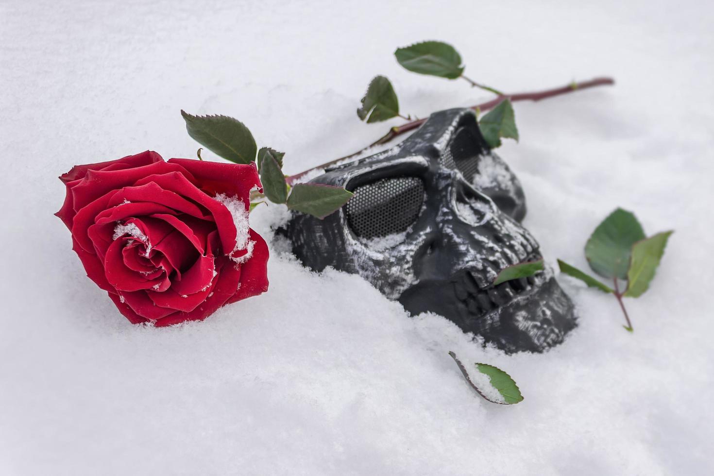 rode roos en zwart ijzeren masker liggen op witte sneeuw bij gotische viering foto