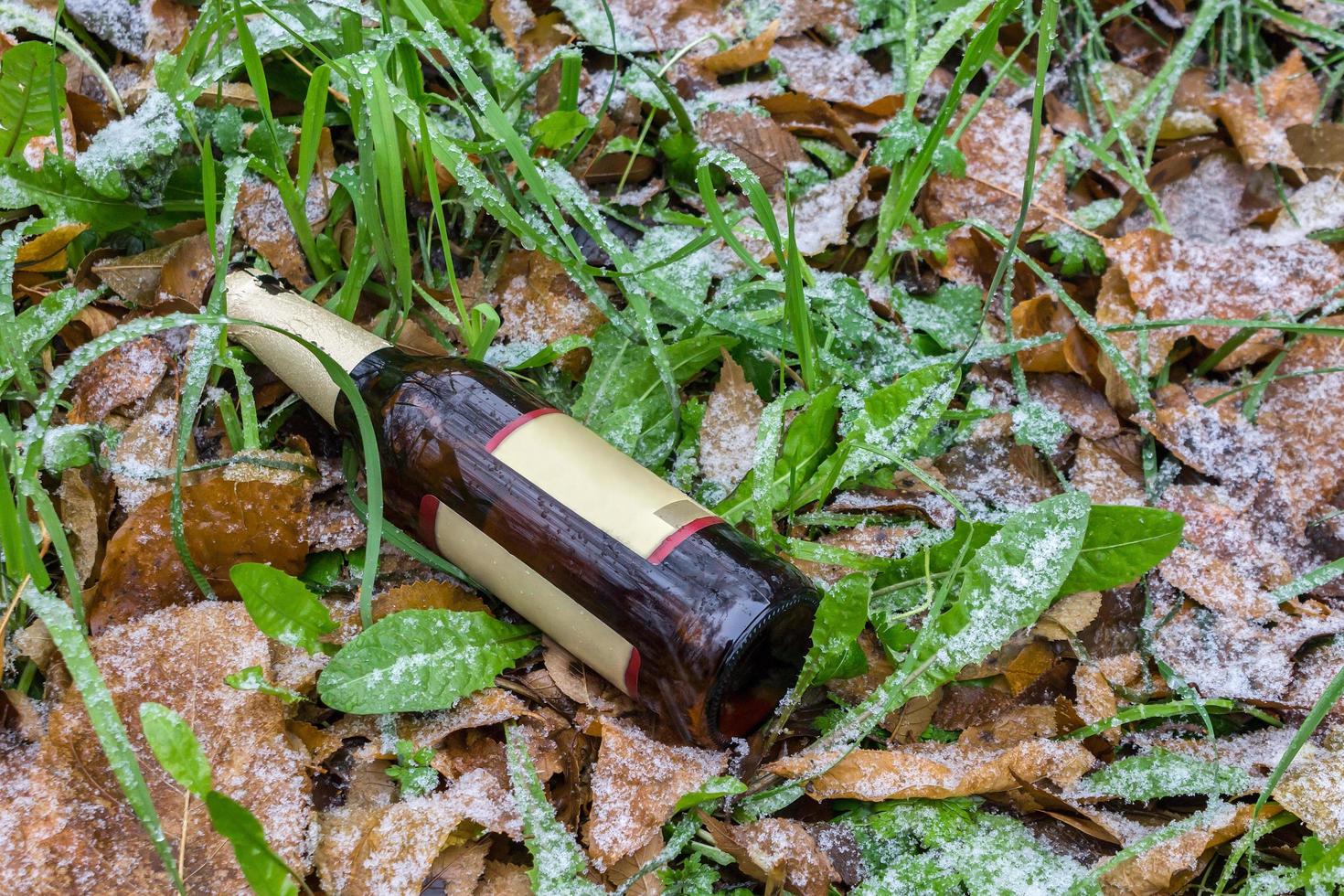 fles alcohol in het gras gegooid bedekt met natte sneeuw foto