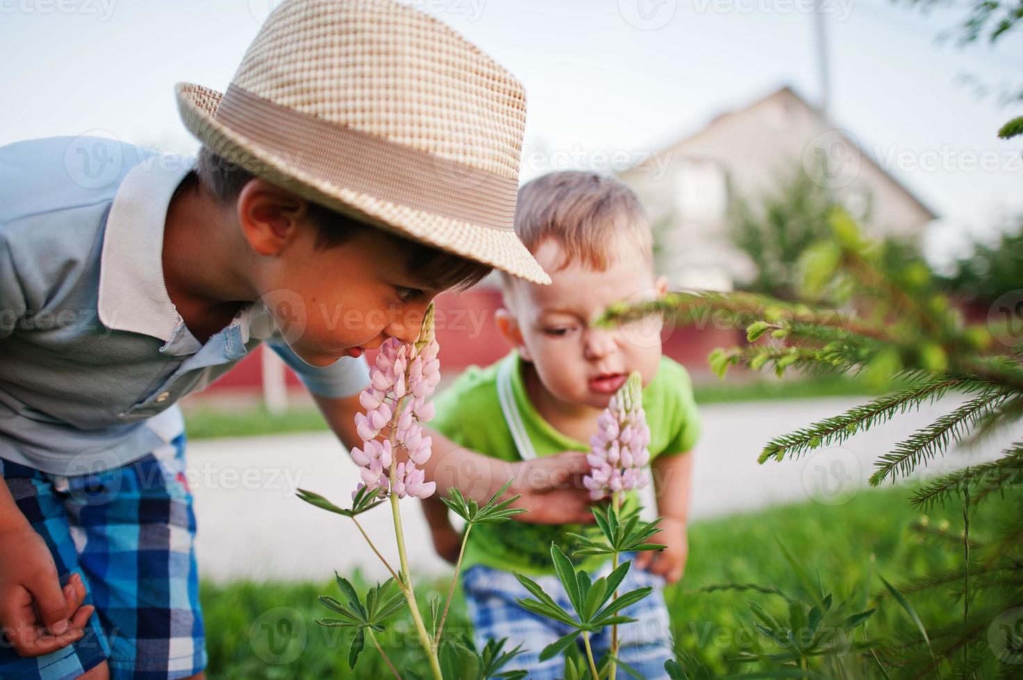 twee broers die bloemen snuiven, kleine natuuronderzoekers. foto