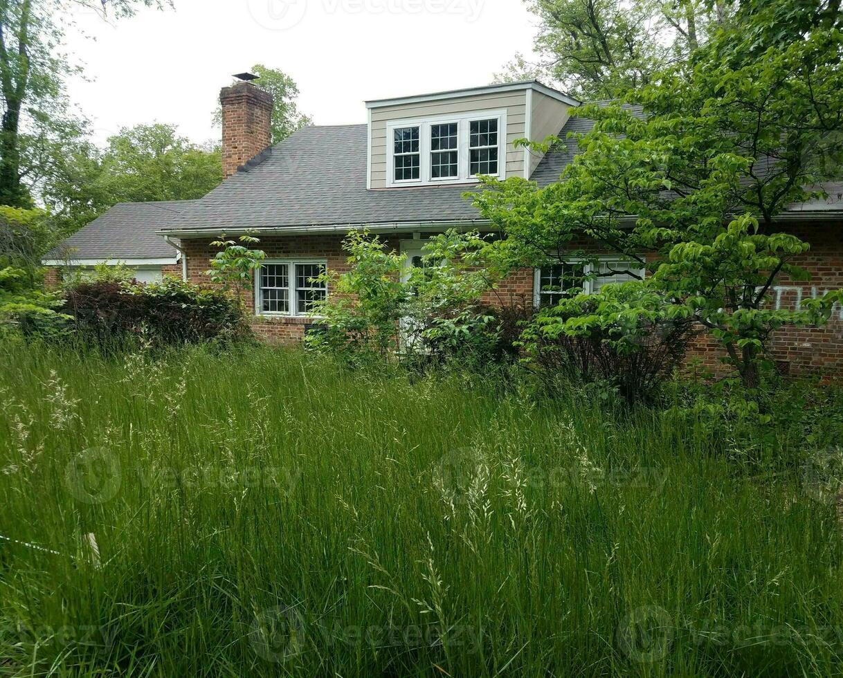 verlaten huis of ruïnes met hoog gras foto