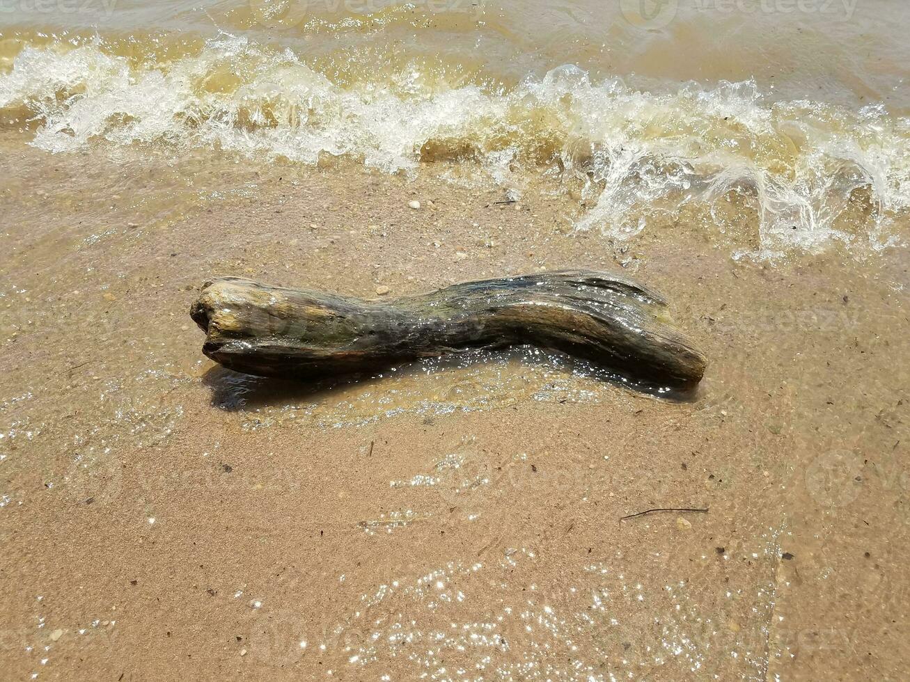 zand met golven en rotsen en drijfhout foto