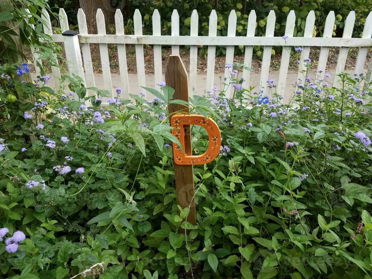 de letter d op een houten paal in een tuin foto