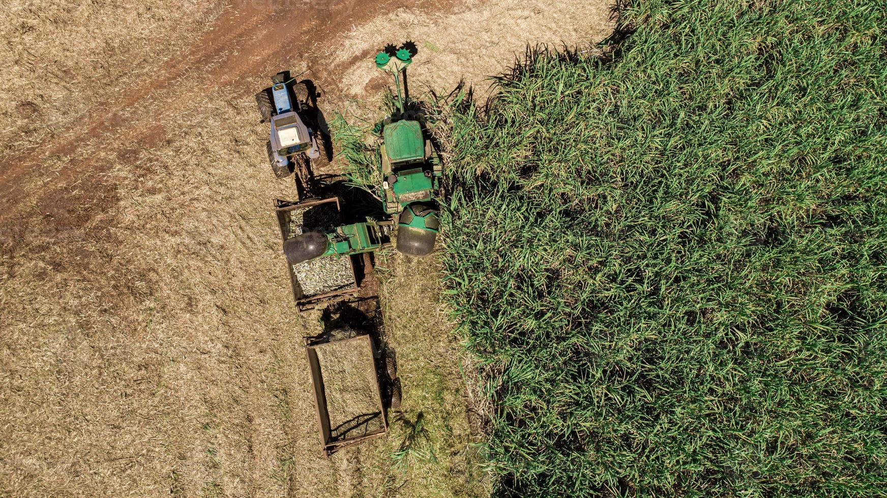 suikerrietoogst in zonnige dag in brazilië. luchtfoto. foto