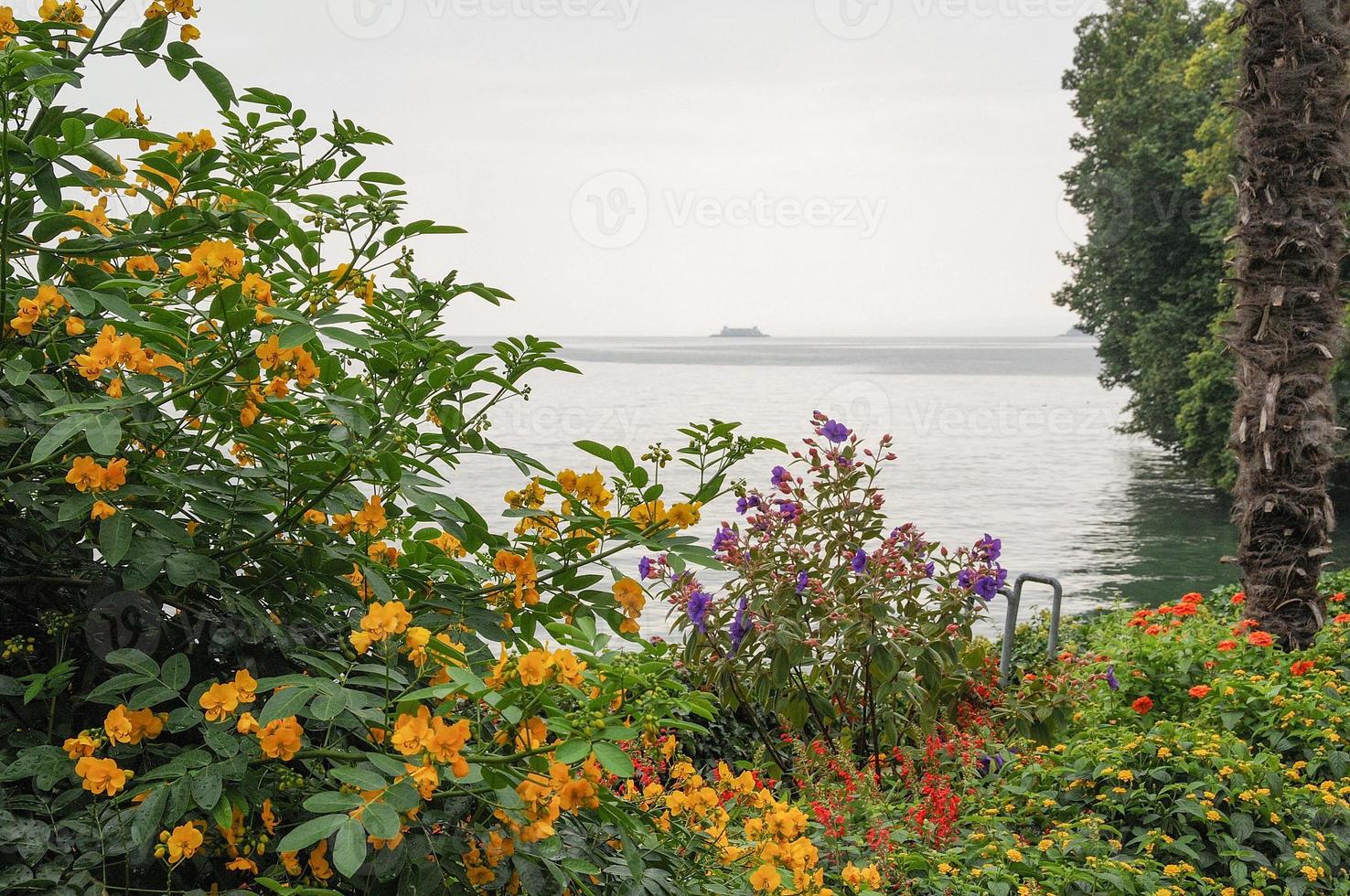 prachtig Bodenmeer in Duitsland foto