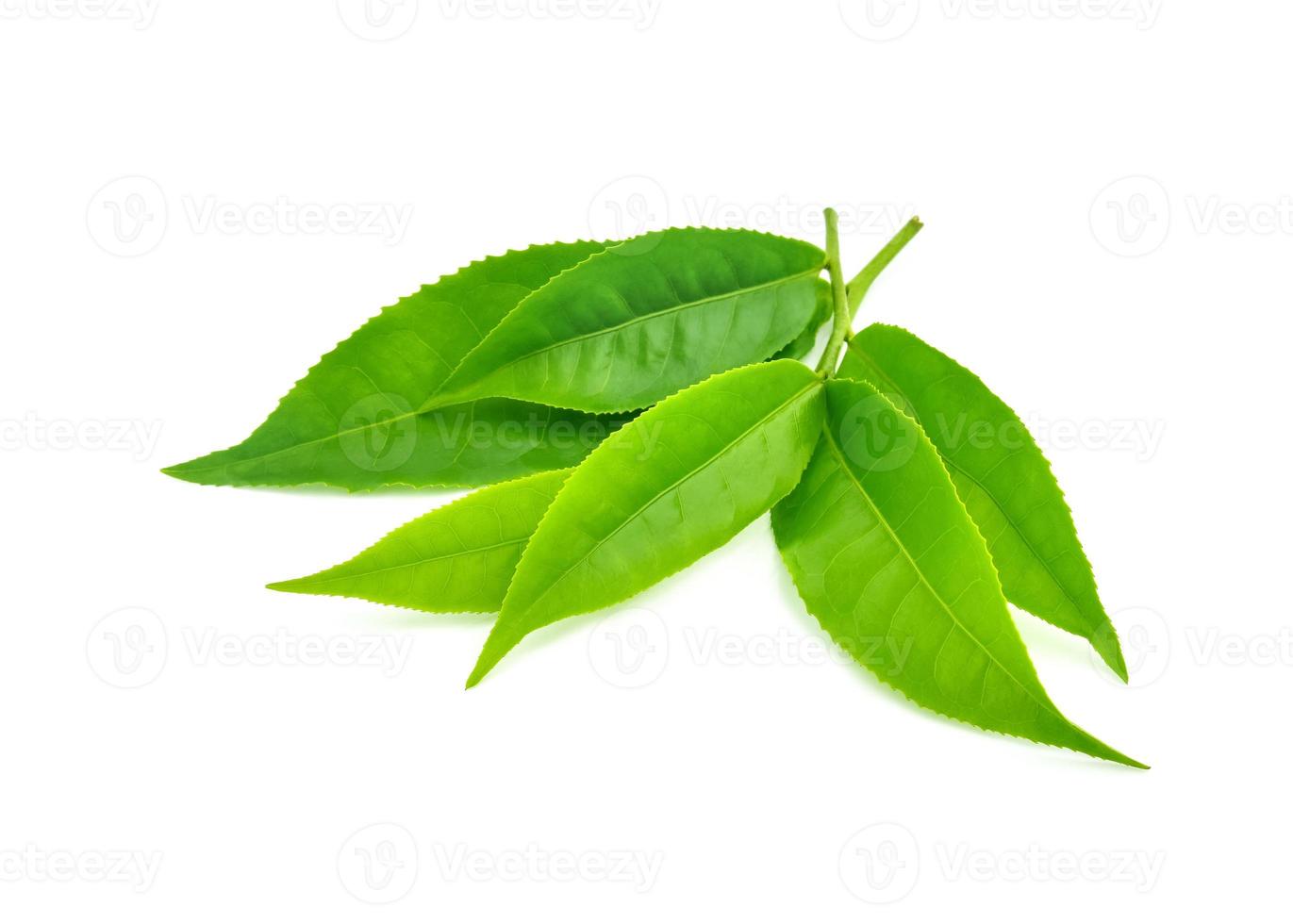 stapel groene thee bladeren geïsoleerd op een witte achtergrond foto