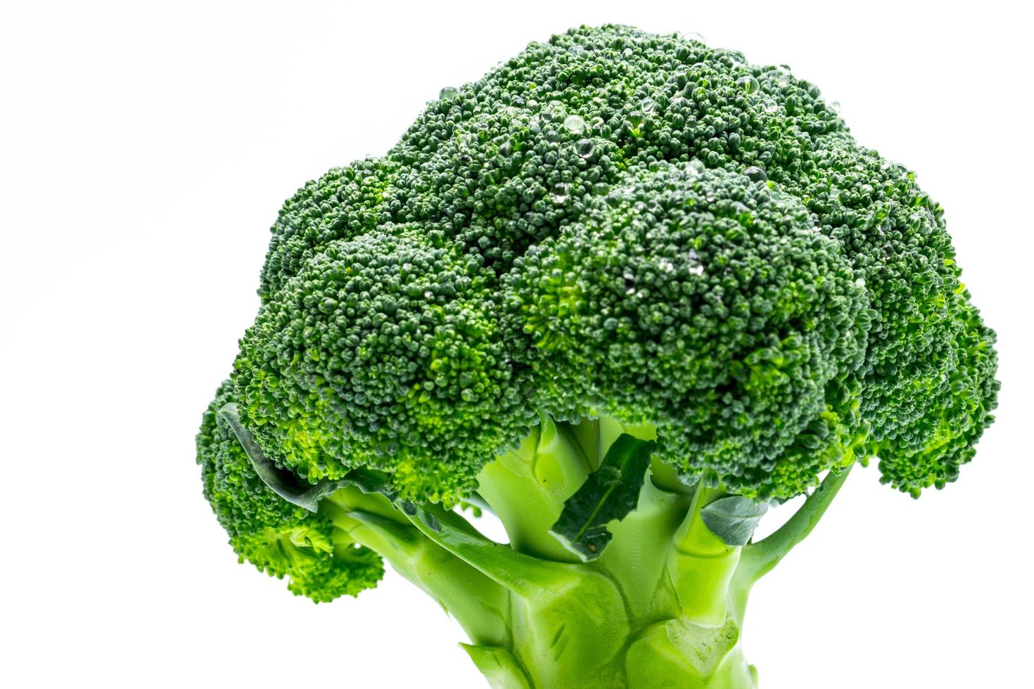 macro shot detail van groene broccoli brassica oleracea. groenten natuurlijke bron van betacaroteen, vitamine c, vitamine k, vezelrijk voedsel, foliumzuur. verse broccoli kool geïsoleerd op een witte achtergrond. foto