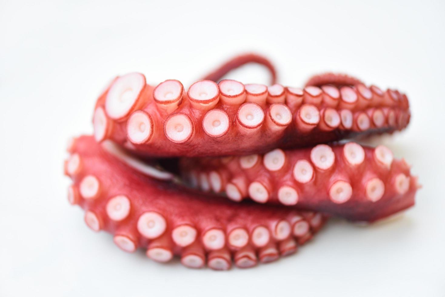 Octopus geïsoleerd op een witte achtergrond, gekookte octopus tentakels zeevruchten inktvis inktvis foto
