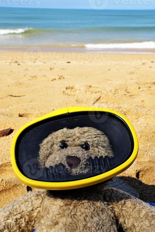 teddy met duikbril op het zandstrand in thailand. foto