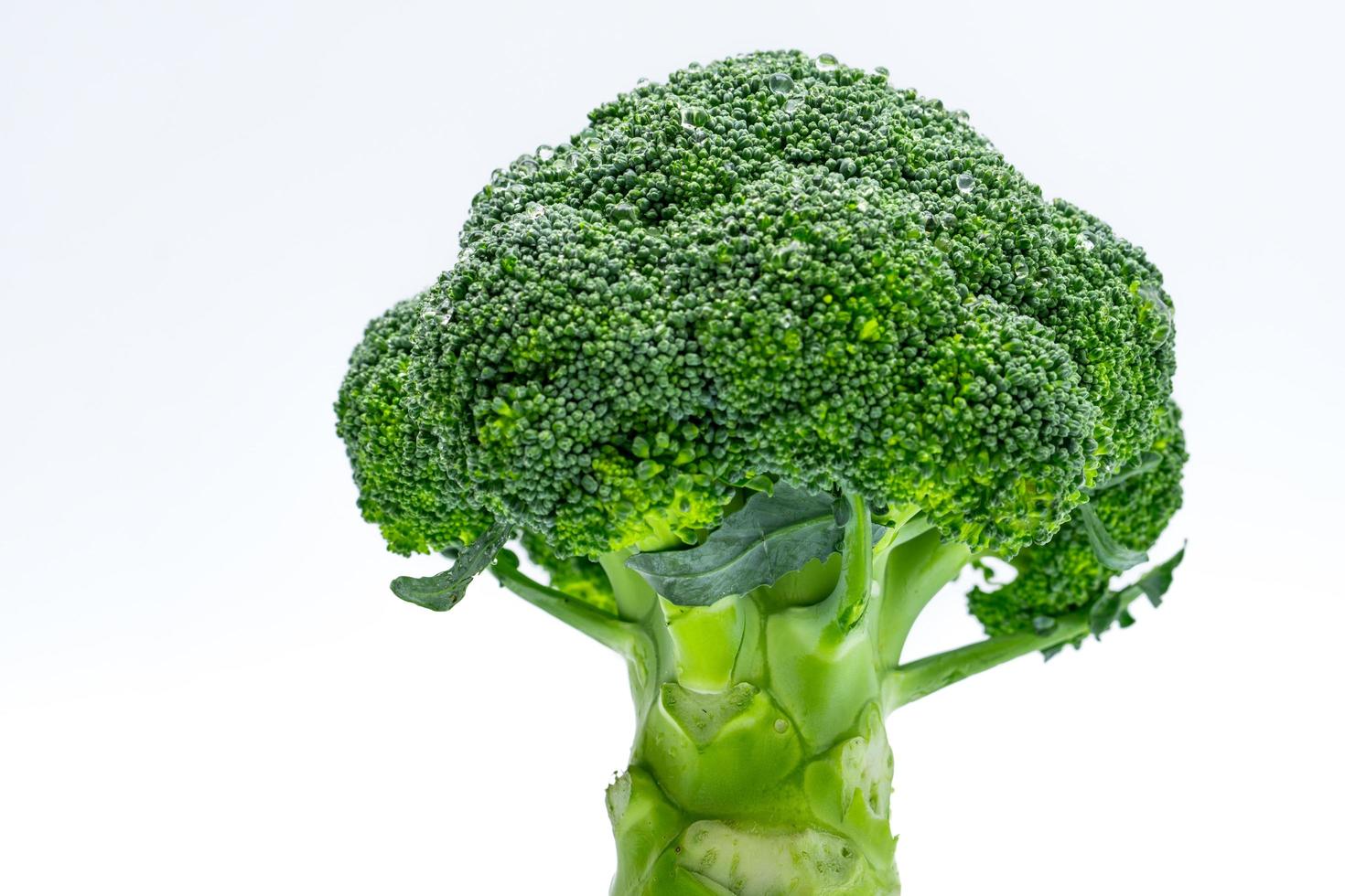 macro shot detail van groene broccoli brassica oleracea. groenten natuurlijke bron van betacaroteen, vitamine c, vitamine k, vezelrijk voedsel, foliumzuur. verse broccoli kool geïsoleerd op een witte achtergrond. foto