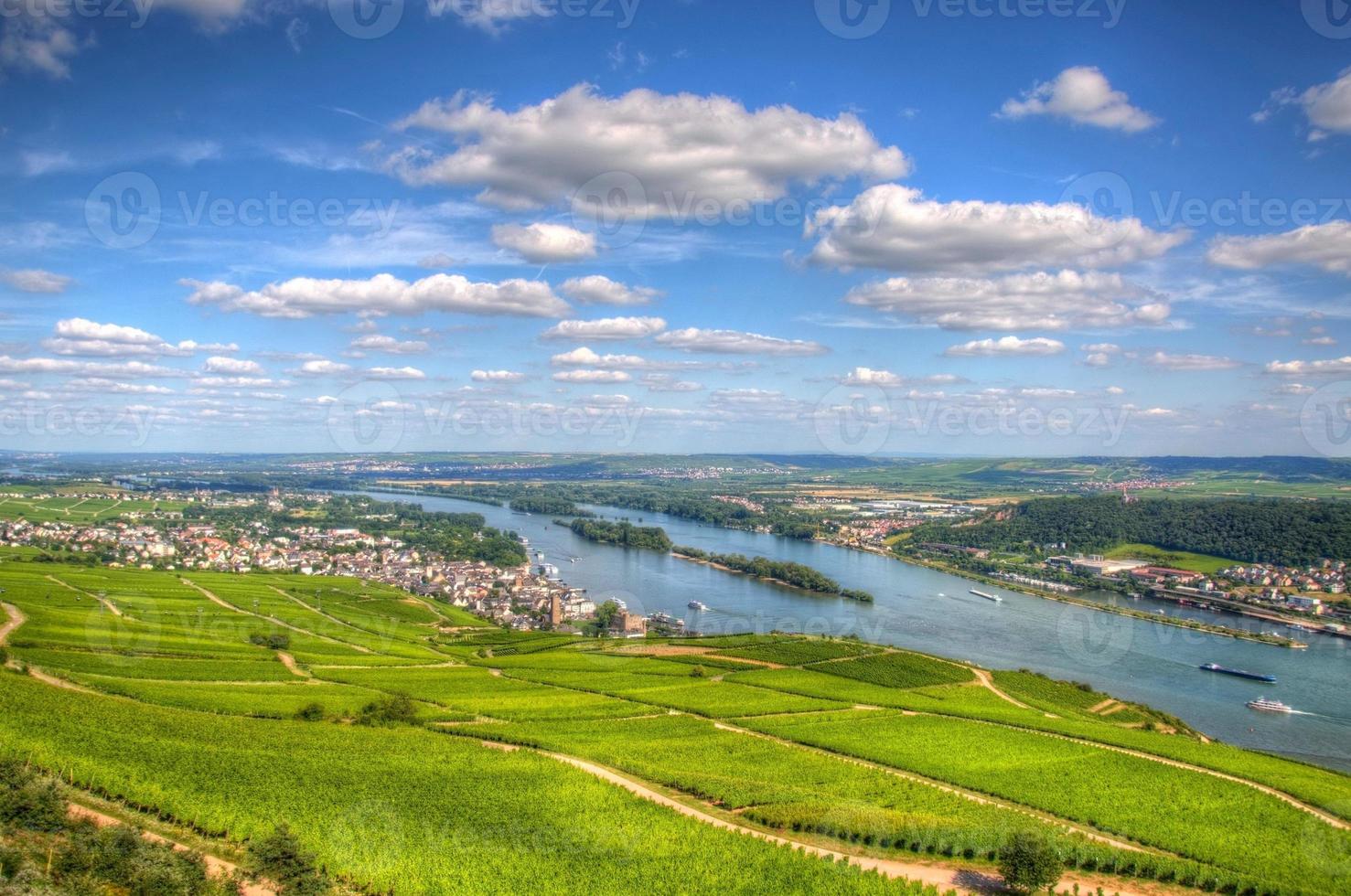 wijngaard, ruedelsheim, hessen, duitsland foto