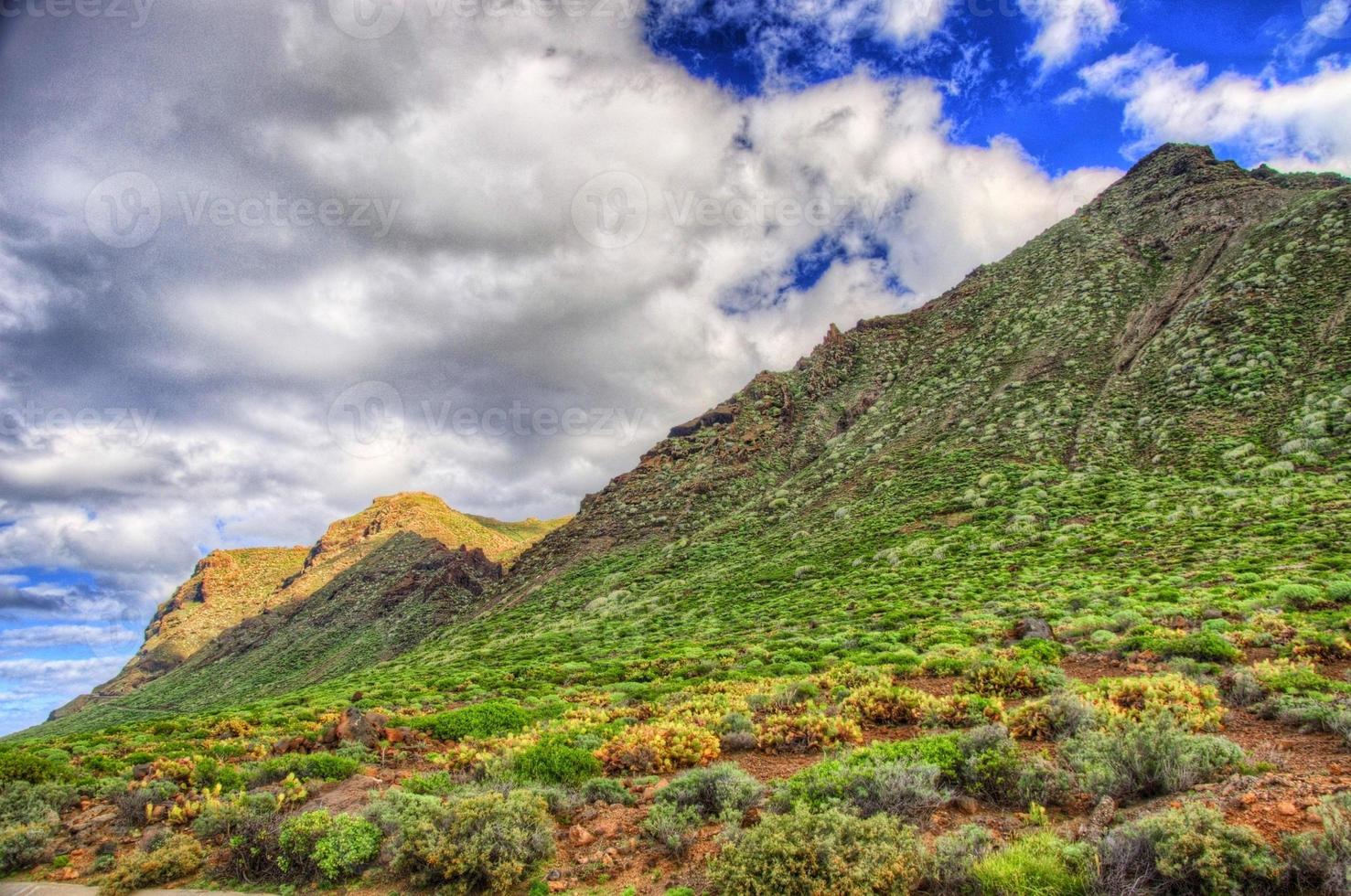 noordwestkust van tenerife bij vuurtoren punto teno, canarische eilanden foto