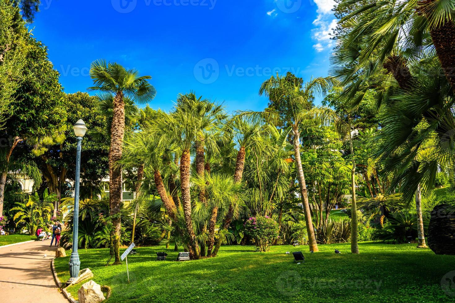 palmen in het park van la condamine, monte-carlo, monaco, cote d'azur, franse riviera foto