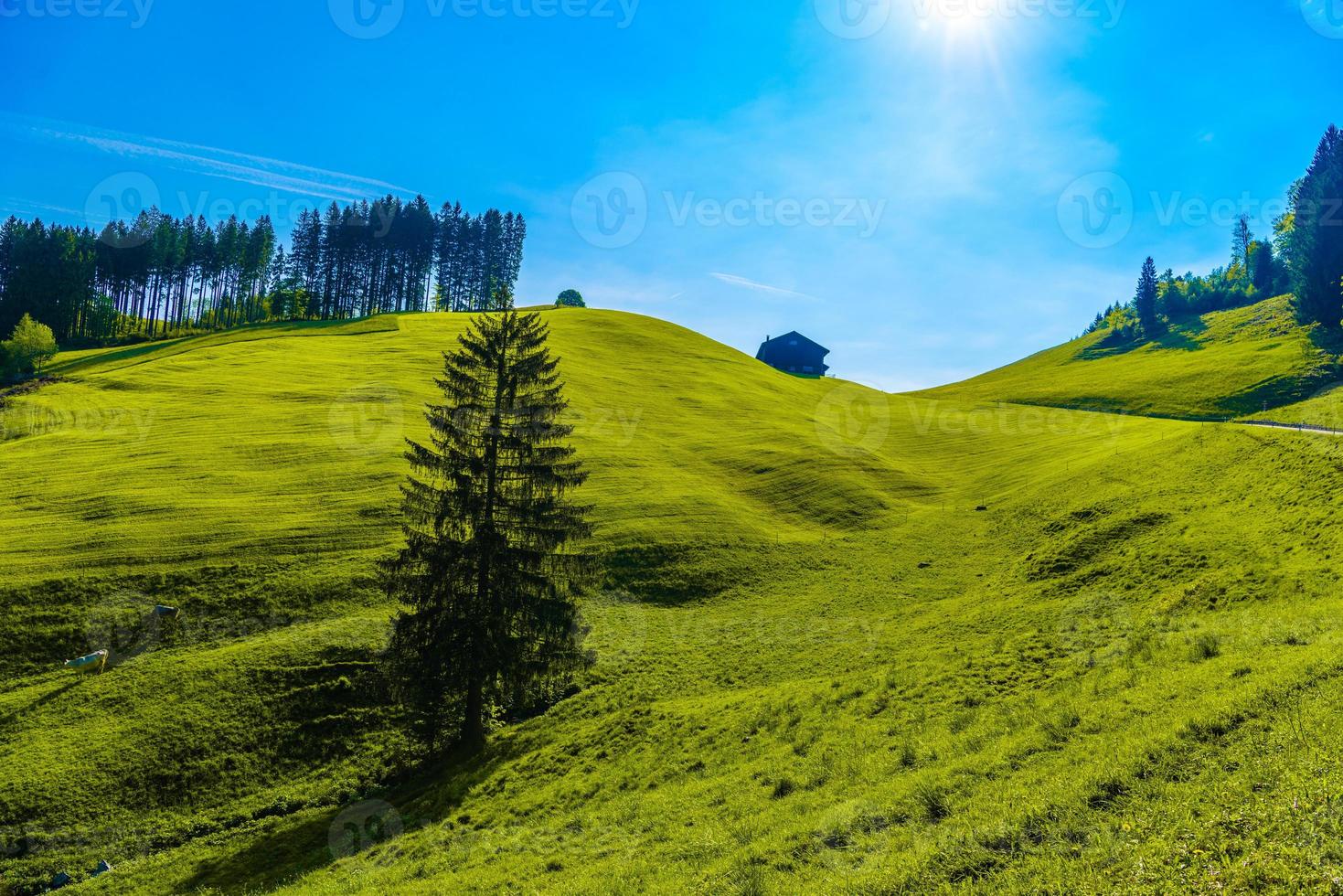 groene velden met blauwe lucht, schoenengrund, achterland, appenzell foto