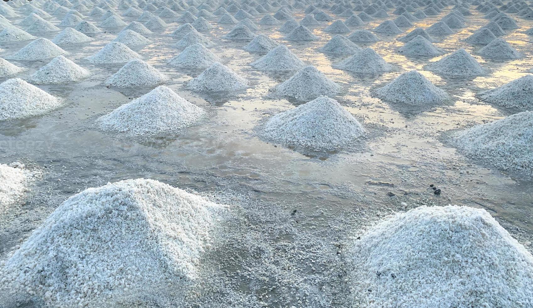 pekel zout boerderij in samut sakhon, thailand. biologisch zeezout. verdamping en kristallisatie van zeewater. grondstof van zout industrieel. natriumchloride. zonne-verdampingssysteem. jodium bron. foto