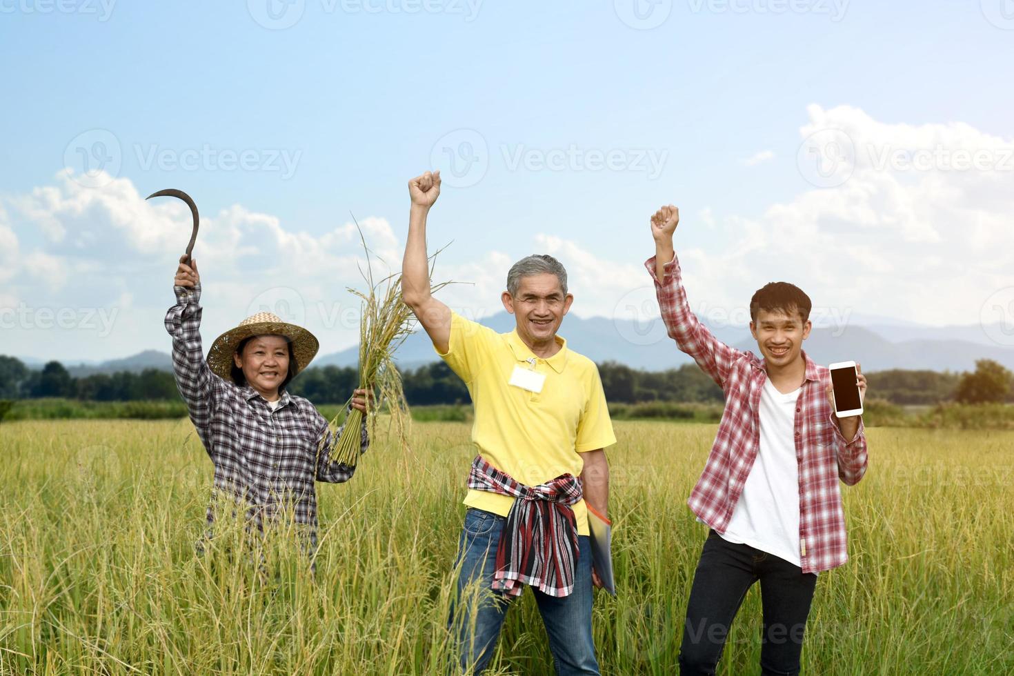 drie Aziatische boeren staan in het rijstveld en steken hun handen op om te feliciteren en zich te verheugen over de succesvolle afronding van het rijstteeltonderzoek en het opslaan van gegevens met behulp van een mobiele telefoon. foto