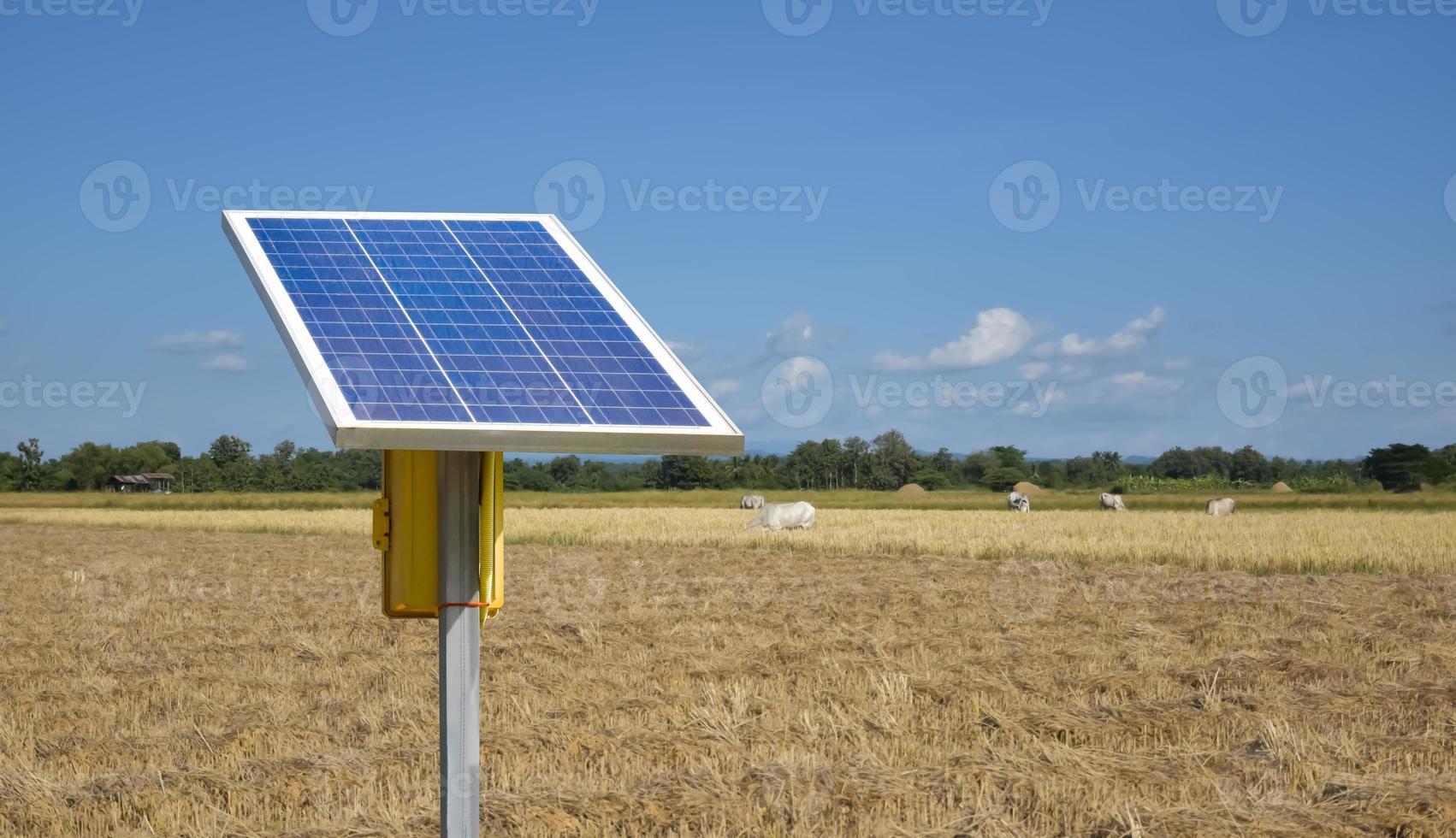 fotovoltaïsch paneel, nieuwe technologie voor het opslaan en gebruiken van de kracht van de natuur met menselijk leven, duurzame energie en milieuvriendelijk concept. foto