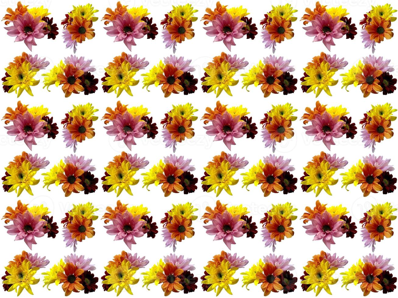 bloemenpatroon op een witte achtergrond foto