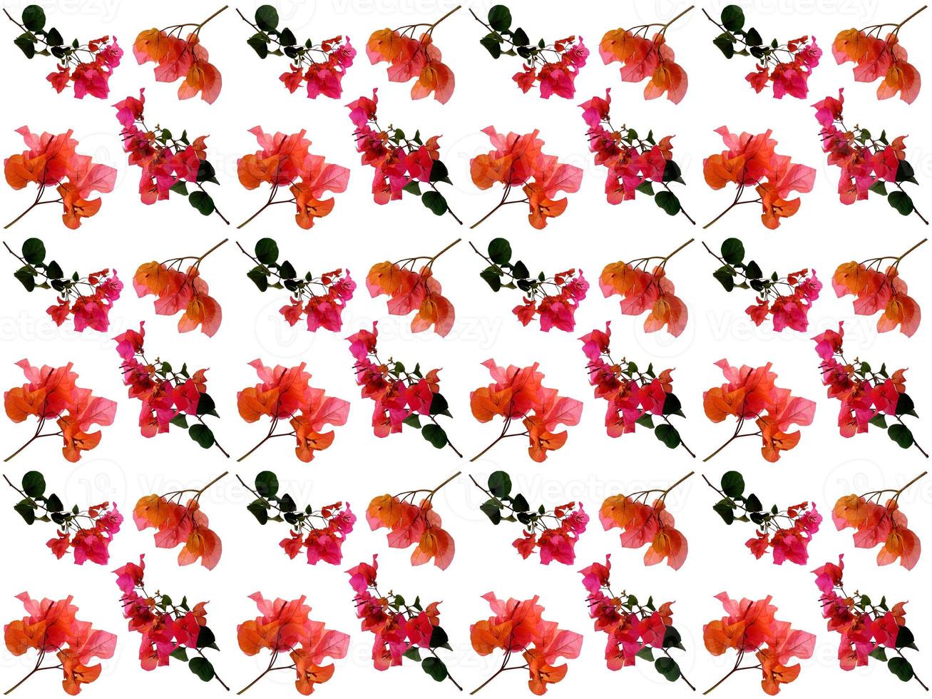 patroon bloemen op een witte achtergrond foto