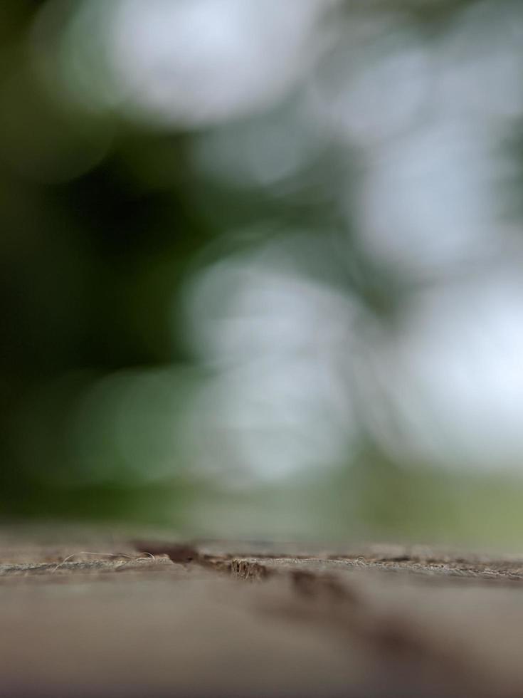 macrofotografie, natuurlijke verse onscherpe achtergrond foto