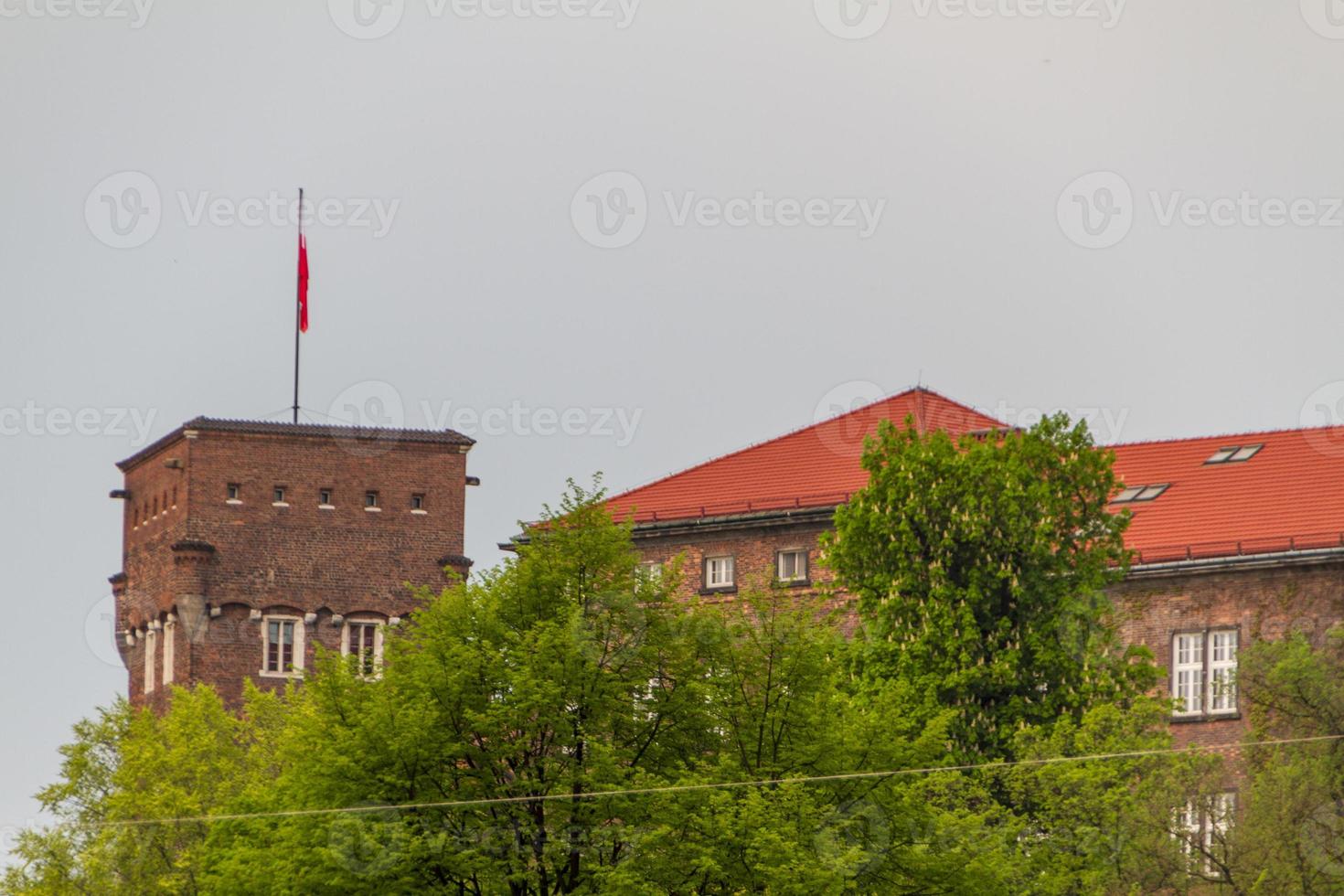 koninklijk kasteel in Wawel, Krakau foto