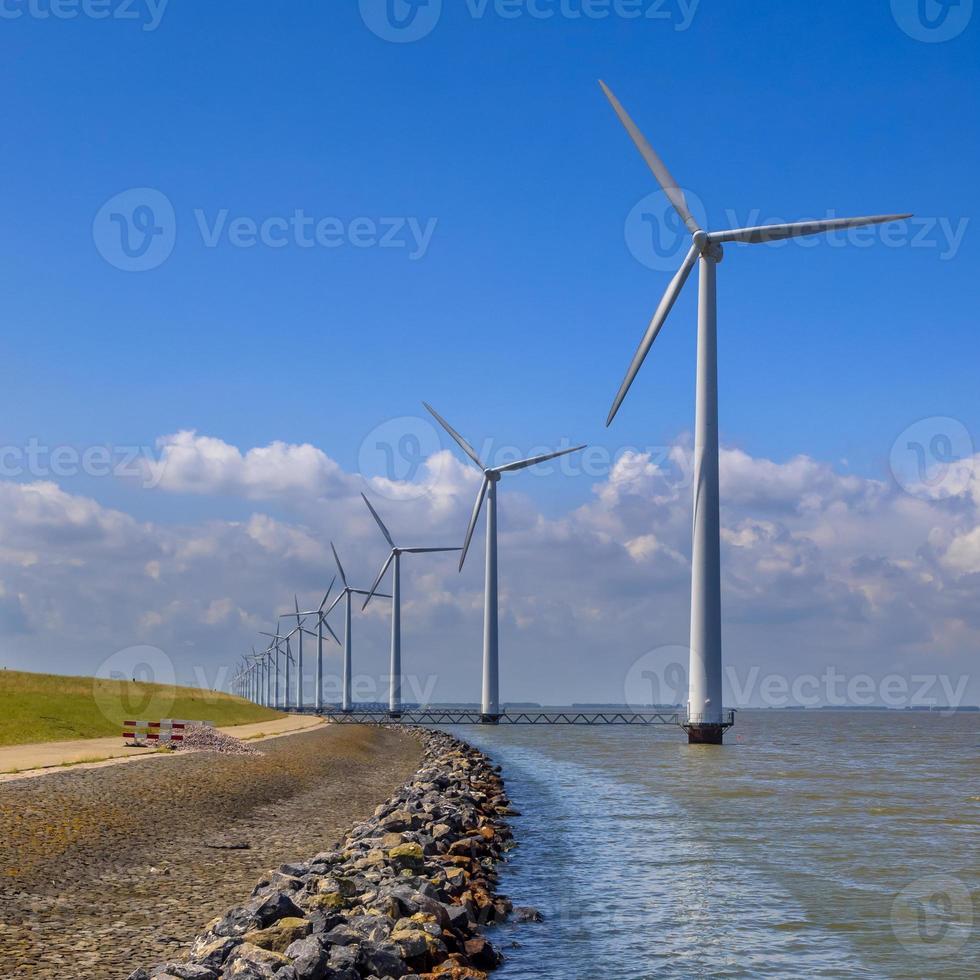 rij windturbines langs een golfbreker foto