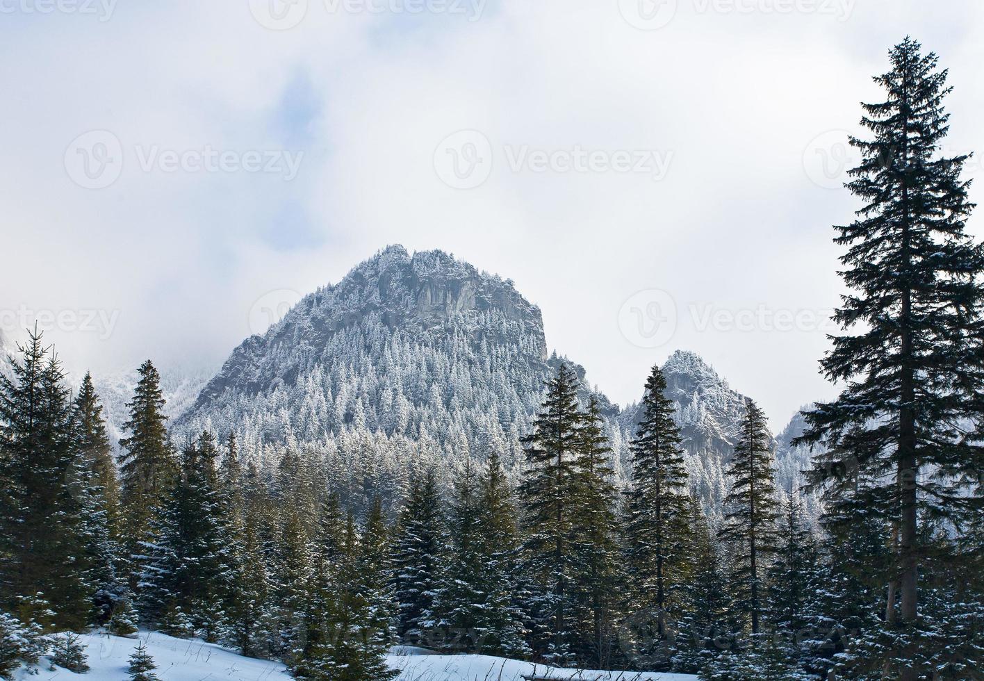 Tatra gebergte in de winter foto