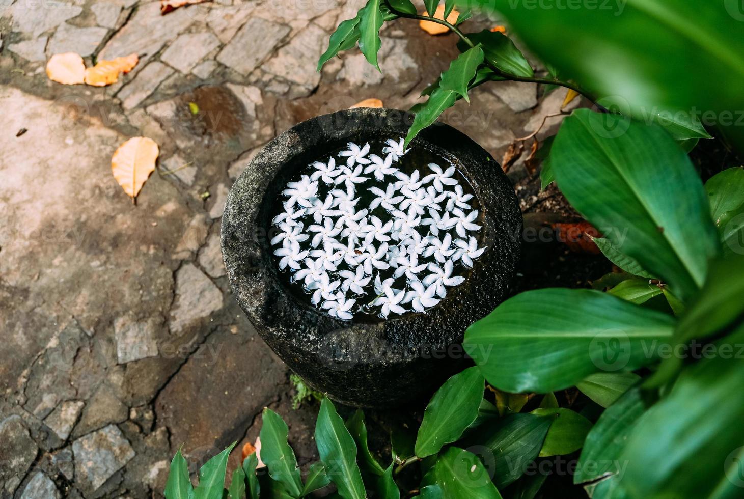 witte frangipani bloemen in een stenen kom foto