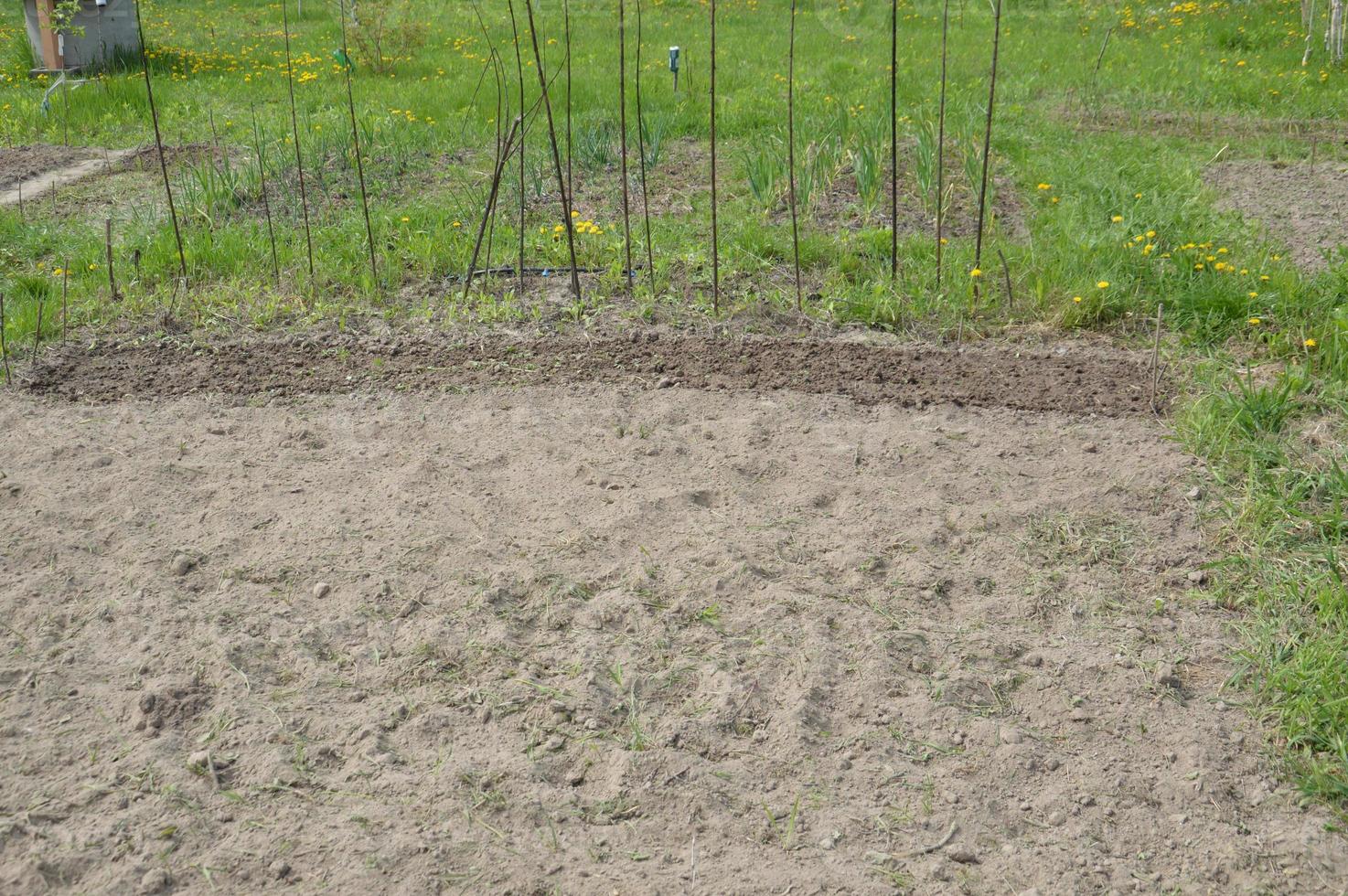 voorbereide tuin en bedden voor het planten van groenten in het dorp foto