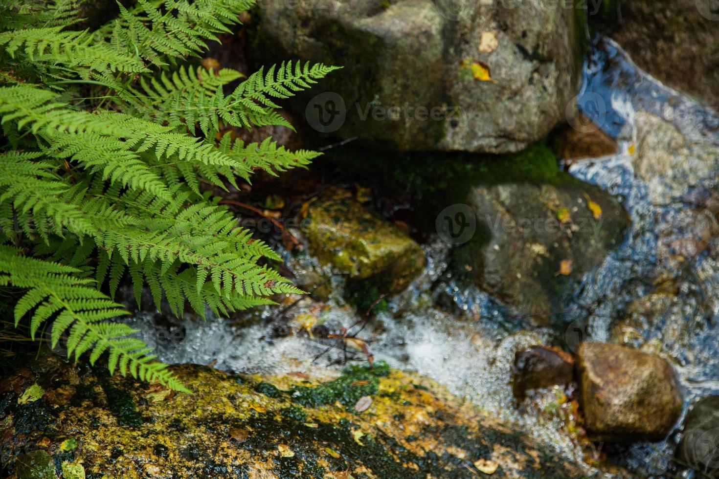 kleurrijke bergtaferelen in noorwegen. prachtig landschap van noorwegen, scandinavië. Noorwegen berglandschap. natuur in de zomer. foto