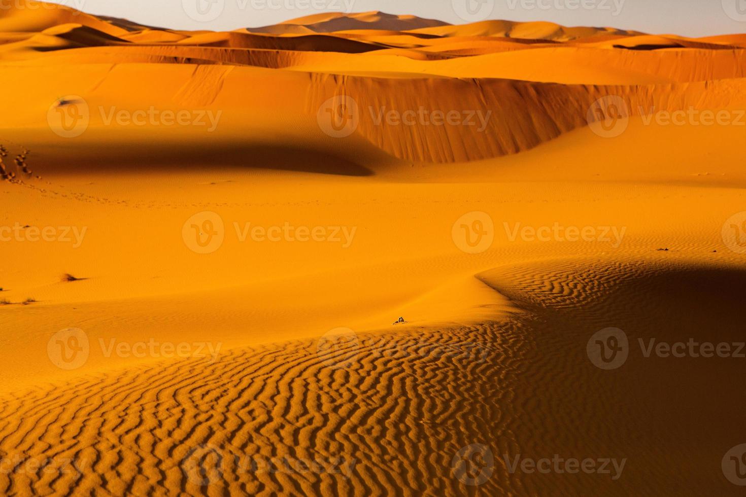 prachtige zandduinen in de saharawoestijn in marokko. landschap in Afrika in de woestijn. foto