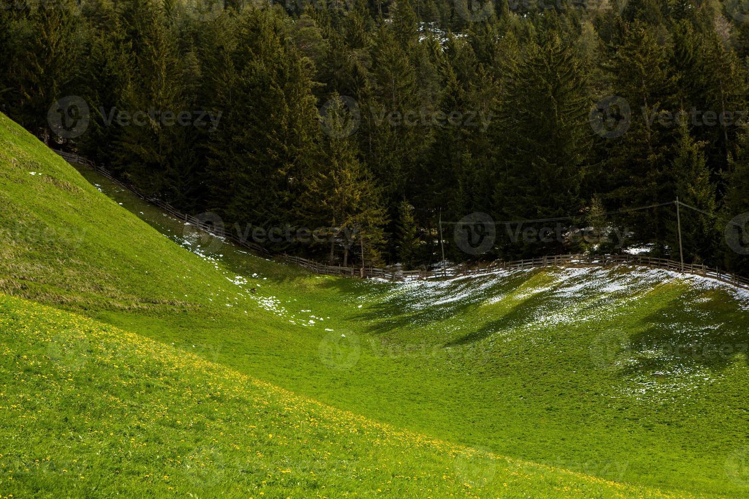 prachtig berglandschap in de Alpen foto