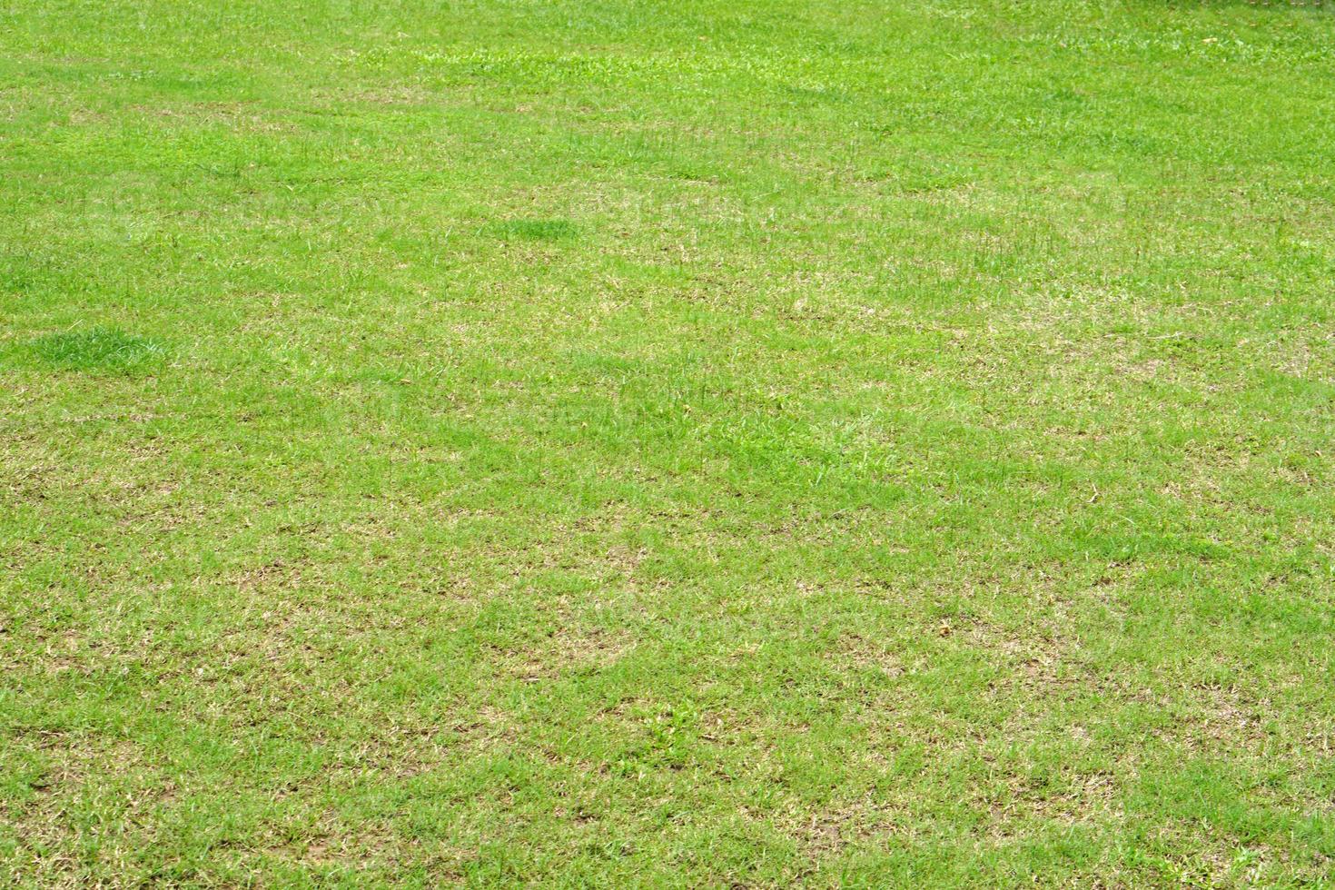 groen gras in het stadion foto