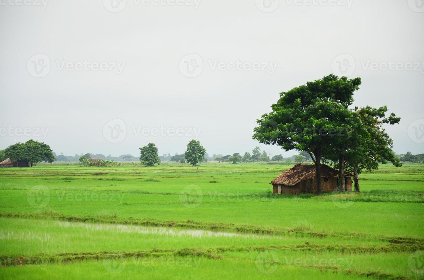 huis op rijstveld gelegen in bago, myanmar foto