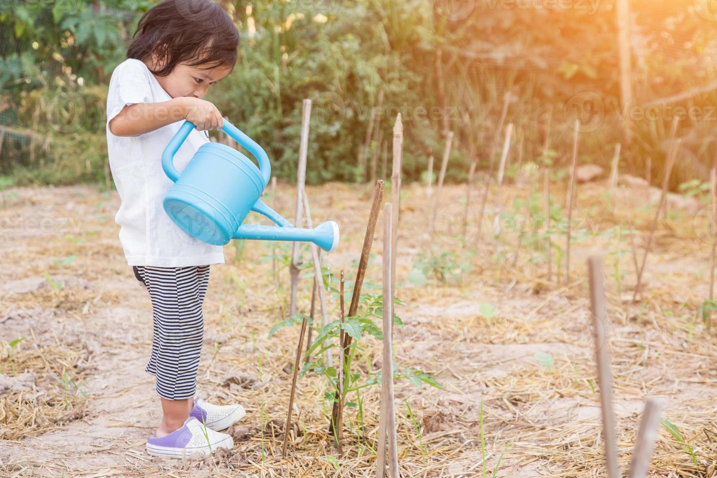 kleine meid die boom water geeft met gieter foto