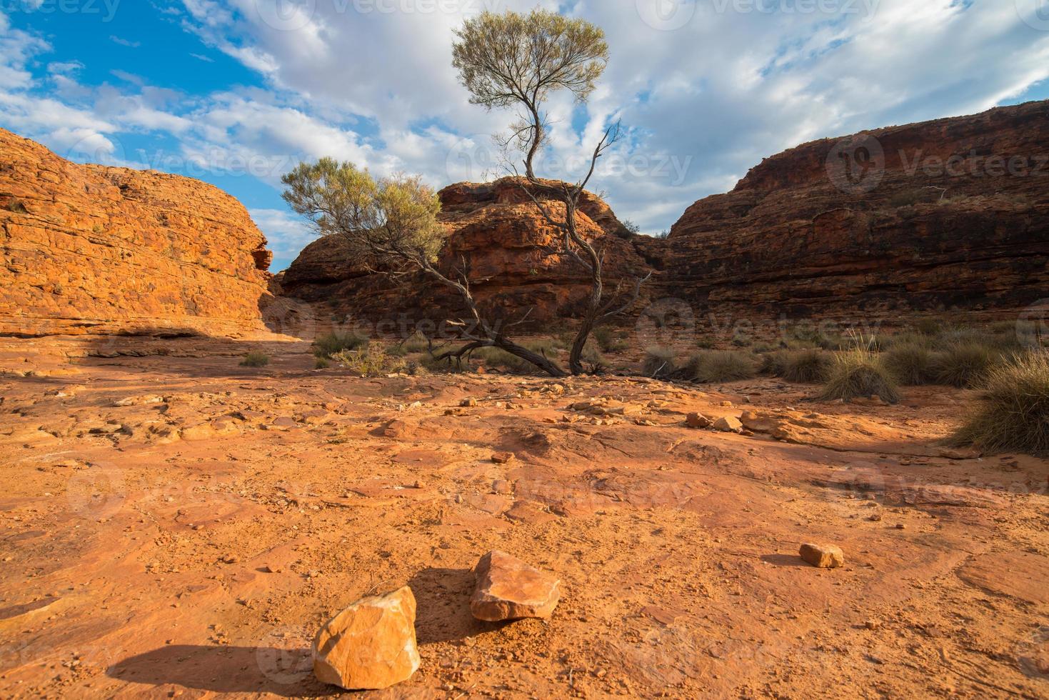 droog landschap in Kings Canyon van de noordelijke territoriumstaat, het rode centrum van het binnenland van Australië. foto