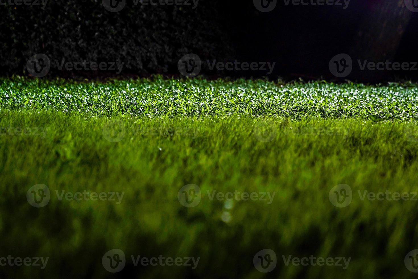 grassen op de grond in de donkere nachttuin met spotlightlicht. foto